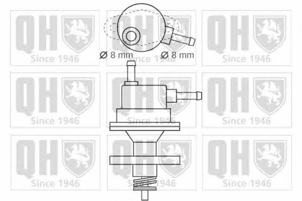 Quinton Hazell QFP525 Fuel pump QFP525