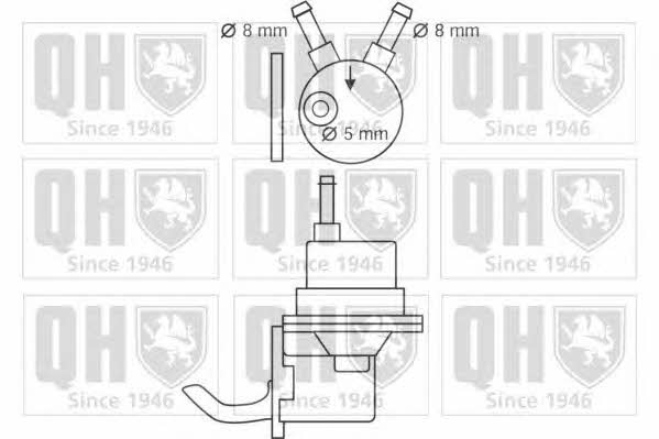 Quinton Hazell QFP56 Fuel pump QFP56
