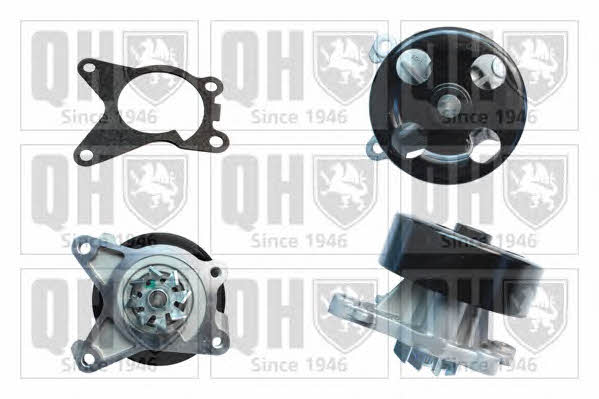 Quinton Hazell QCP3691 Water pump QCP3691