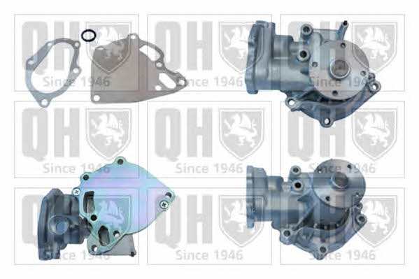 Quinton Hazell QCP3810 Water pump QCP3810