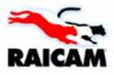 Raicam 7455RP Parking brake shoes 7455RP