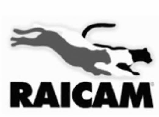 Raicam 7490RP Parking brake shoes 7490RP