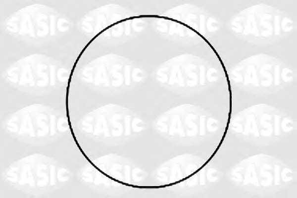 Sasic 1120780 O-rings for cylinder liners, kit 1120780