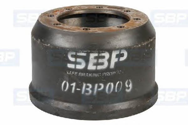 SBP 01-BP009 Ring sealing 01BP009