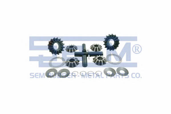 Se-m 9789 Differential repair kit 9789