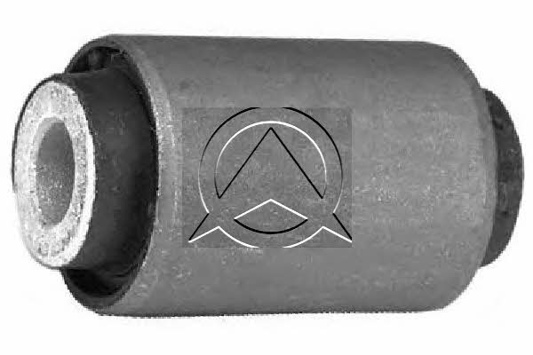 Rubber bushes Nissan Micra: 841626 Sidem Control arm bushing