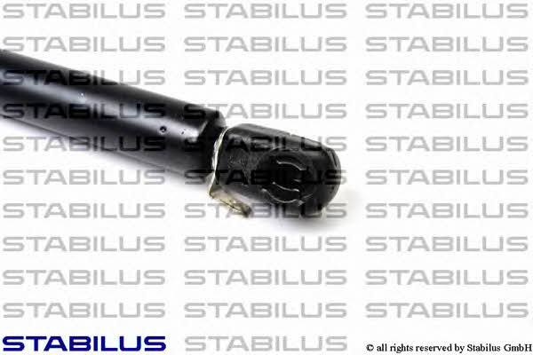 Tailgate gas struts Ford: 012600 Stabilus Tailgate strut