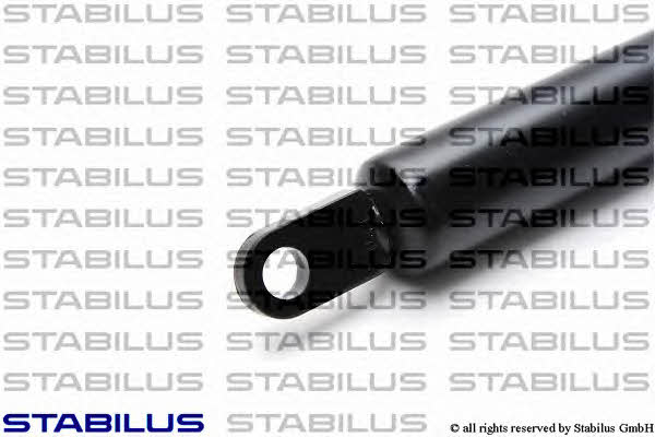 Bonnet lifters Ferrari: 1823BN Stabilus Hood shock absorber