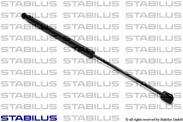 Buy Stabilus 6062SX at a low price in United Arab Emirates!