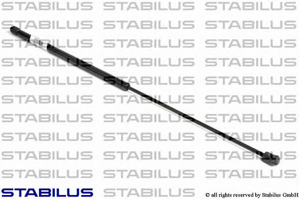 Buy Stabilus 5001ZR at a low price in United Arab Emirates!
