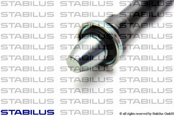 Stabilus 015621 Spring gas rear window 015621