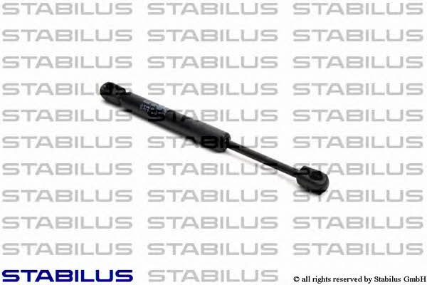 Buy Stabilus 018382 at a low price in United Arab Emirates!