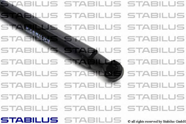 Stabilus 151560 Tailgate strut 151560 151560 Stabilus Tailgate strut