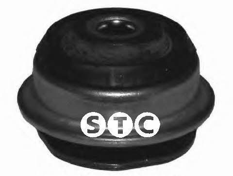 STC T405588 Silentblock rear beam T405588