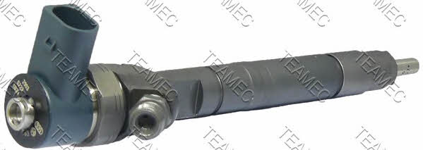 Teamec 810 067 Injector fuel 810067