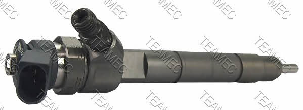 Teamec 810 138 Injector fuel 810138