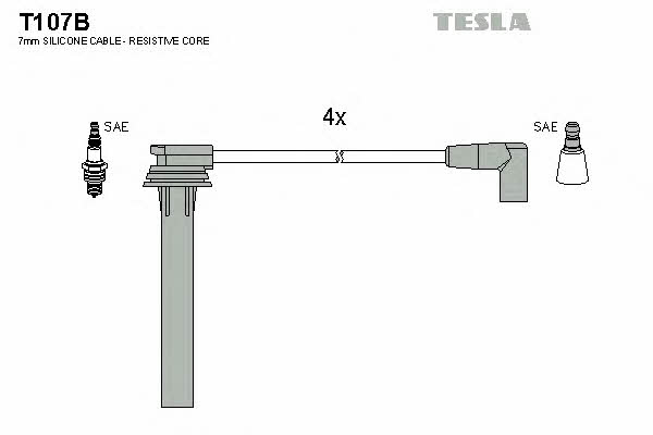 Buy Tesla T107B at a low price in United Arab Emirates!