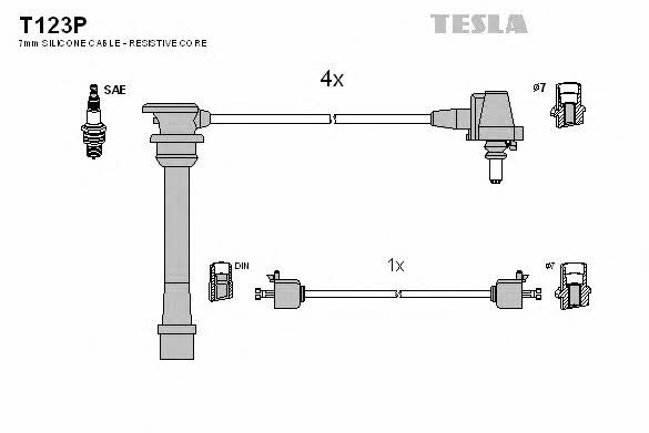 Buy Tesla T123P at a low price in United Arab Emirates!