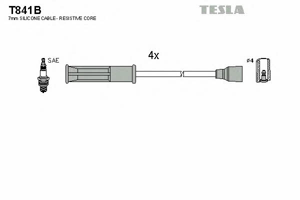 Buy Tesla T841B at a low price in United Arab Emirates!