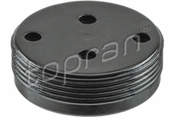 Topran 110 878 PLUG-BLIND 110878