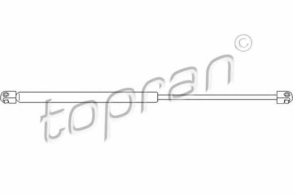 Tailgate strut Topran 206 318