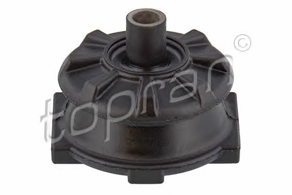 300347 Topran Rear axle bush