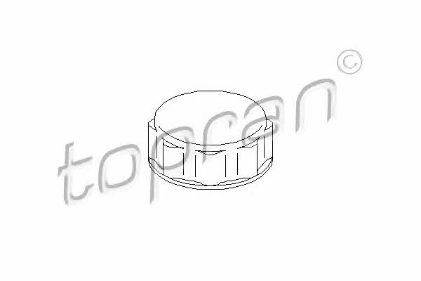 Expansion tank cap Topran 300 867