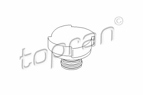 Expansion tank cap Topran 500 343