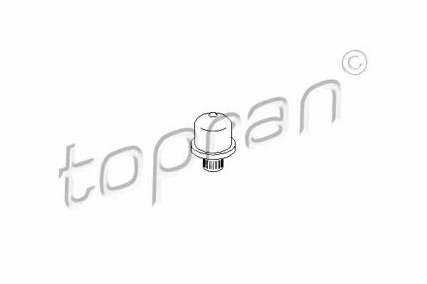 Topran 700 667 Clutch support fork bolt 700667