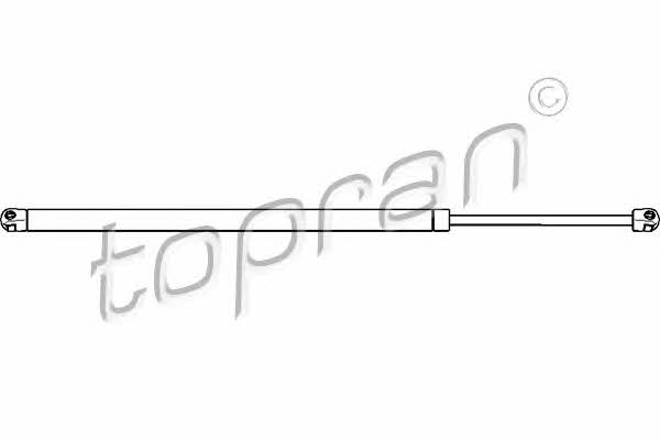 Topran 700 699 Gas Spring, boot-/cargo area 700699