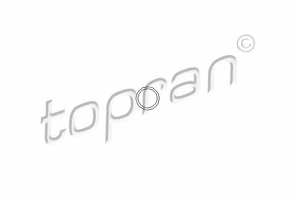 Topran 100 678 O-ring exhaust system 100678