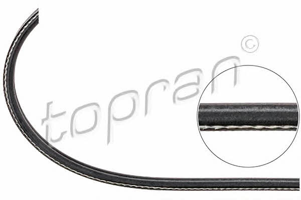 Topran 104 130 V-ribbed belt 2PK836 104130