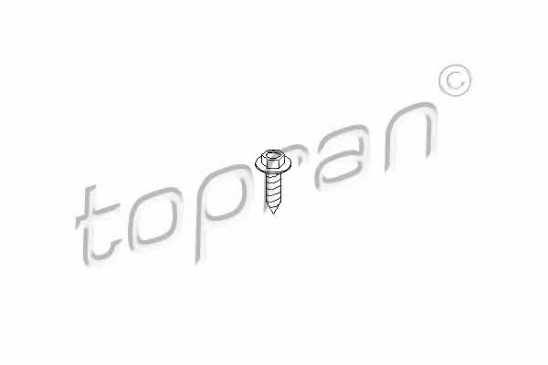 Topran 109 315 Screw 109315