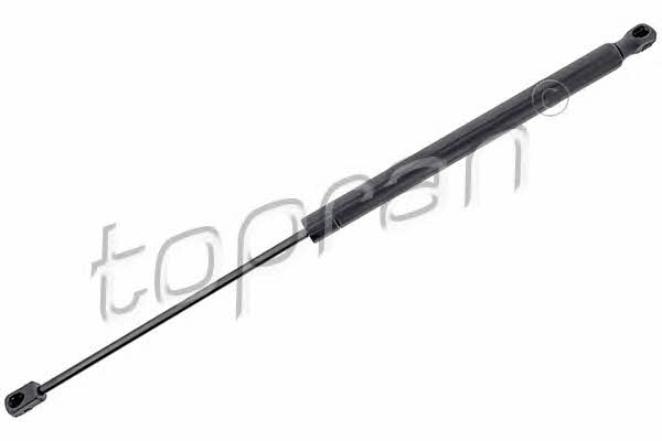 Topran 304 491 Tailgate strut 304491 304491 Topran Tailgate strut