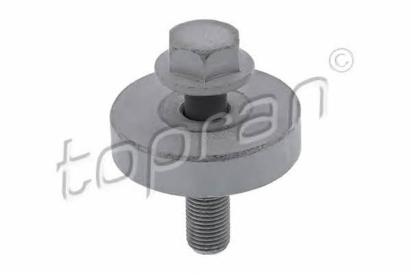 Topran 701 616 Bolt 701616