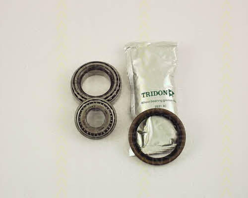 Triscan 8530 10111 Wheel bearing kit 853010111