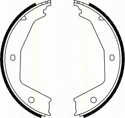 Triscan 8100 10629 Parking brake shoes 810010629