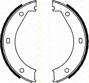 Triscan 8100 11415 Parking brake shoes 810011415