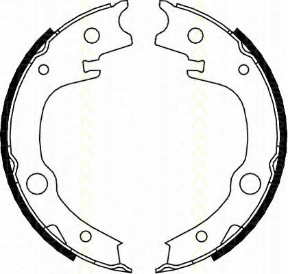 Triscan 8100 13039 Parking brake shoes 810013039