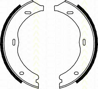 Triscan 8100 23030 Parking brake shoes 810023030