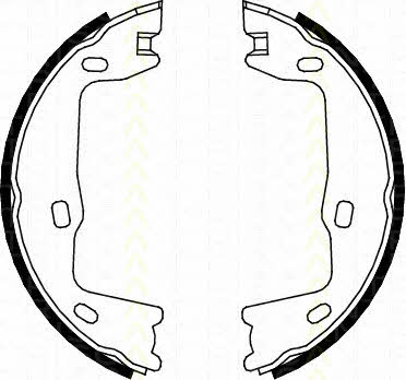 Triscan 8100 24005 Parking brake shoes 810024005