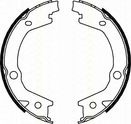 Triscan 8100 43020 Parking brake shoes 810043020