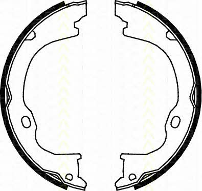 Triscan 8100 80011 Parking brake shoes 810080011