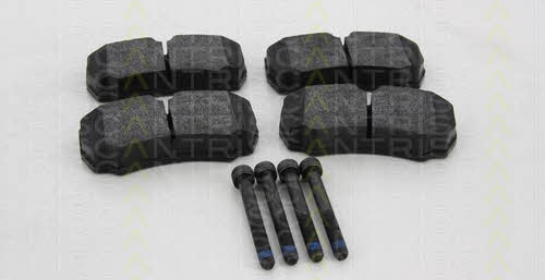 Triscan 8110 16026 Brake Pad Set, disc brake 811016026