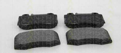 Triscan 8110 23058 Brake Pad Set, disc brake 811023058