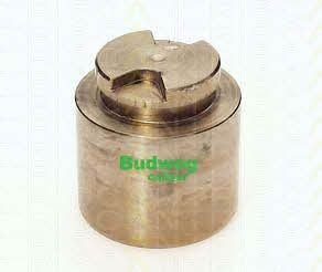 Triscan 8170 234528 Brake caliper piston 8170234528