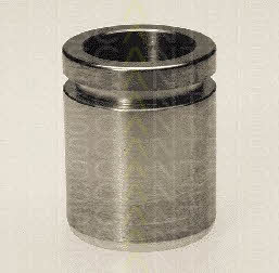 Triscan 8170 233617 Brake caliper piston 8170233617