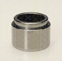 Triscan 8170 233801 Brake caliper piston 8170233801