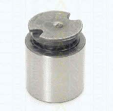 Triscan 8170 233841 Brake caliper piston 8170233841