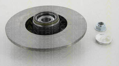 Triscan 8120 25171 Rear brake disc, non-ventilated 812025171